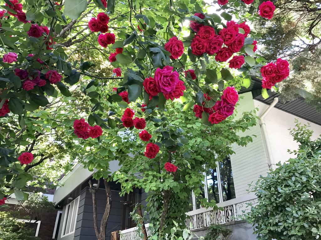 Naru Guesthouse Seoel Buitenkant foto