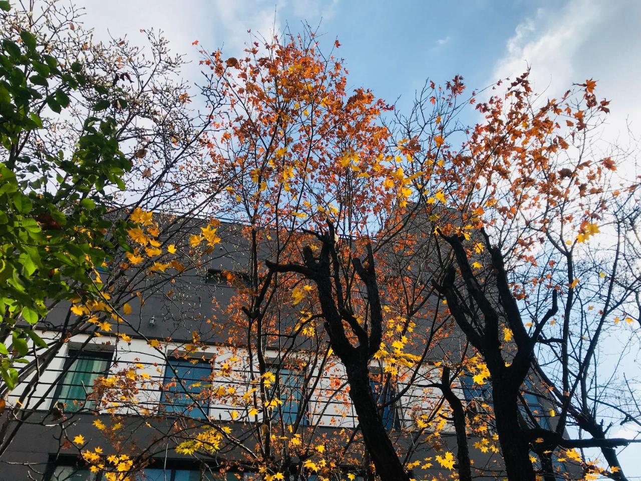 Naru Guesthouse Seoel Buitenkant foto