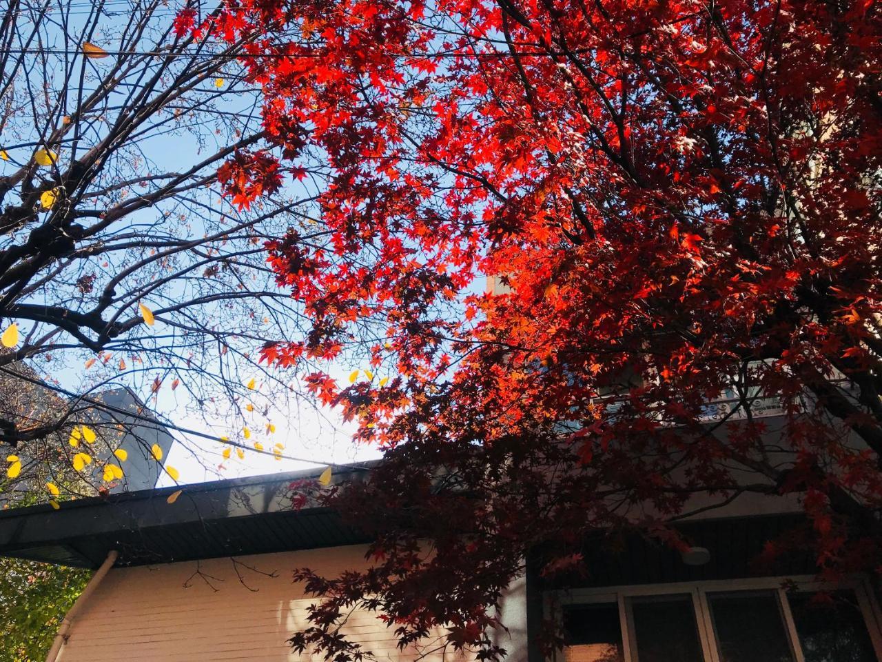 Naru Guesthouse Seoel Buitenkant foto